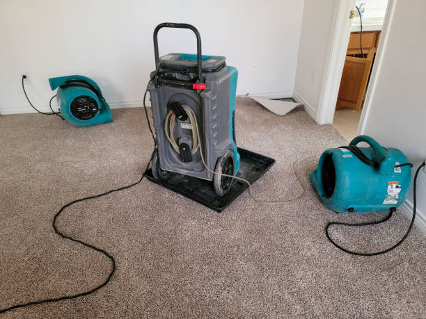 Best Local water damage restoration  in Vero Beach, FL