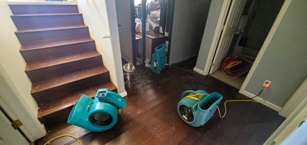 Best Water damage contractors near me  in Vero Beach, FL