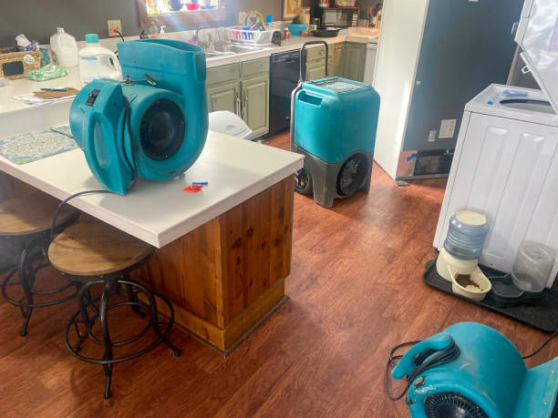 Best Sewage cleanup and water damage restoration  in Vero Beach, FL