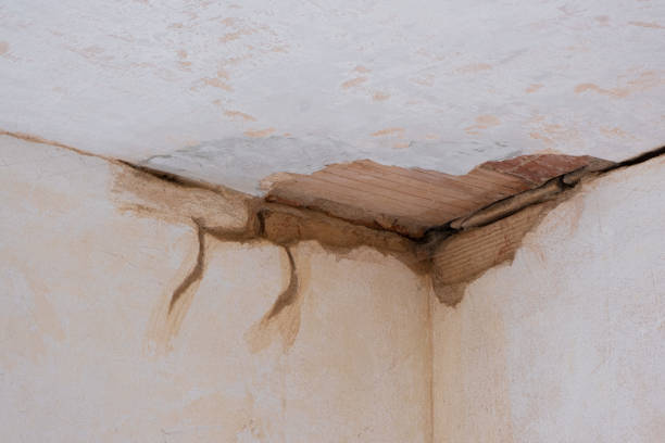 Best Flood damage cleanup  in Vero Beach, FL