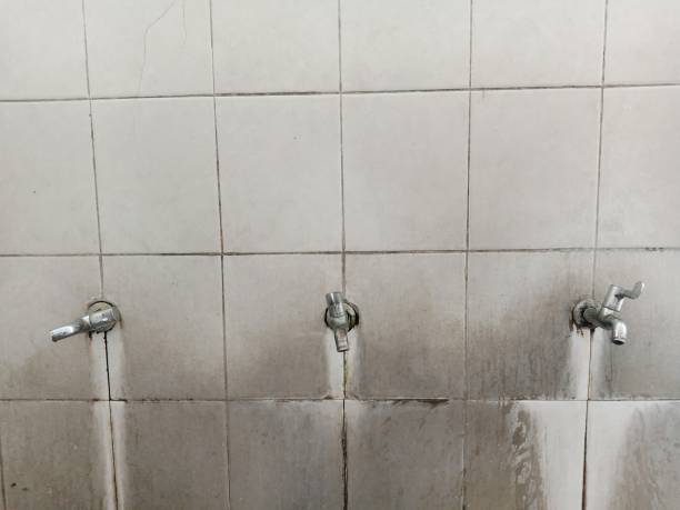 Best Carpet water damage restoration  in Vero Beach, FL
