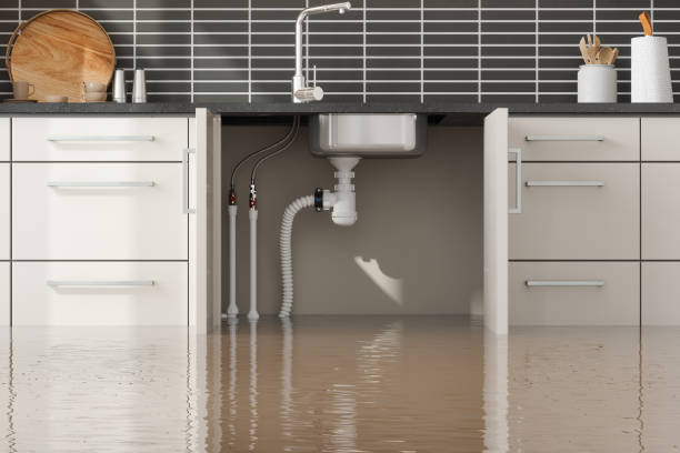  Vero Beach, FL Water damage restoration Pros