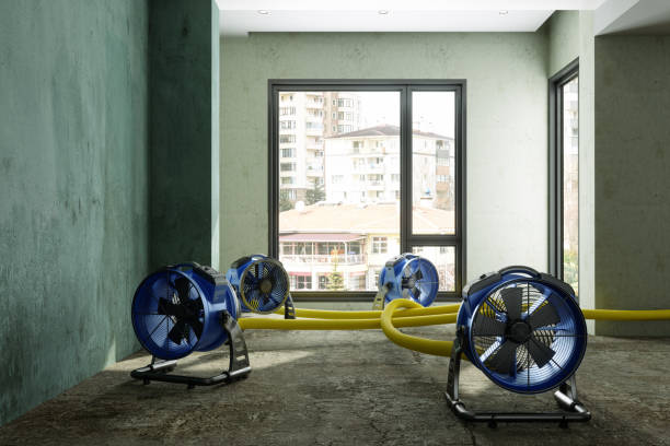 Best Professional water damage repair  in Vero Beach, FL